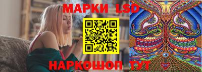 spice Кулебаки