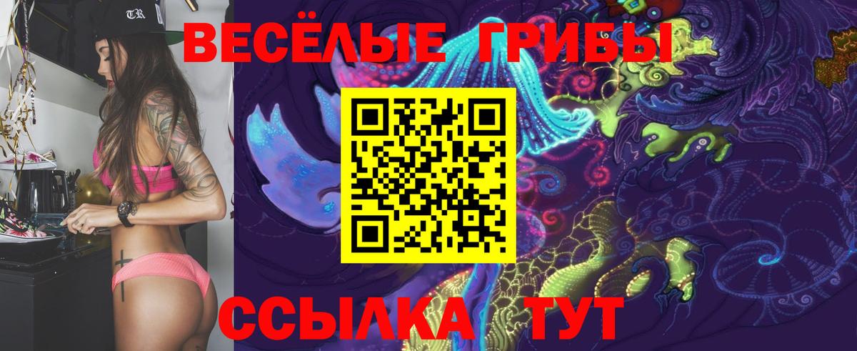 Псилоцибиновые грибы MAGIC MUSHROOMS  Псилоцибиновые грибы ЛСД  Гусиноозёрск  Вход с VPN 