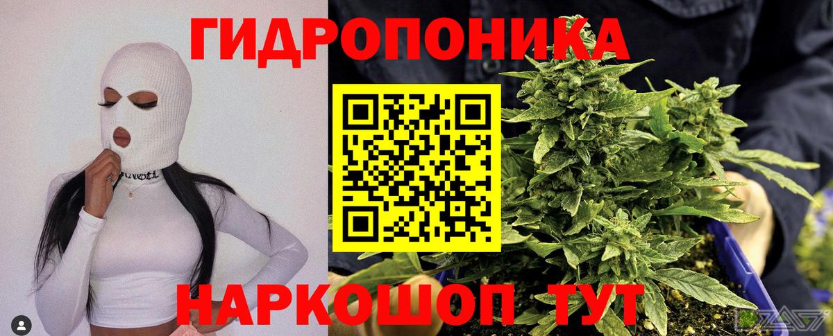 Конопля индика  Вход с VPN  Гусиноозёрск  Шишки марихуана гибрид  Бошки марихуана семена 